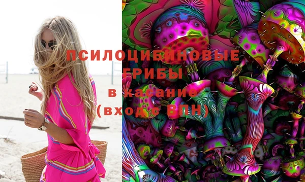 бошки Гусиноозёрск