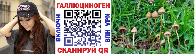 Галлюциногенные грибы мицелий  Купить  Кировск 